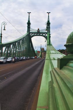 Budapeşte 'de özgürlük köprüsü