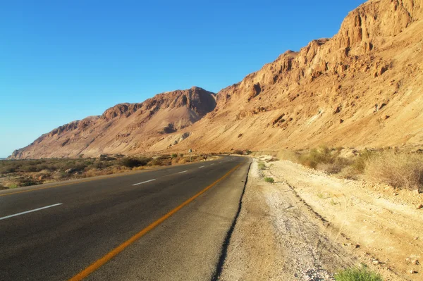 Desert road — Stock Photo, Image