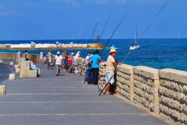 Fishermen at Tel Aviv Coastline — Stock Photo, Image