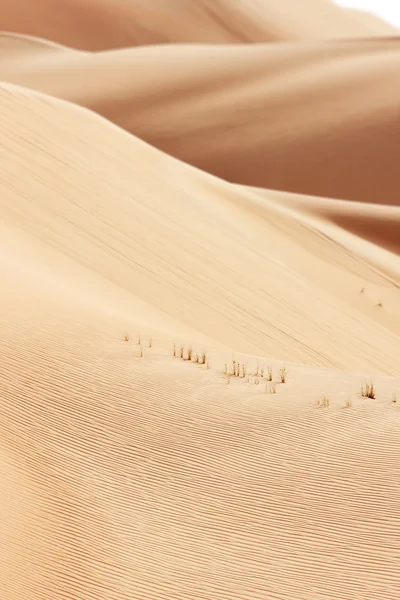 Rolling sand dunes of the Arabian desert — Stock Photo, Image