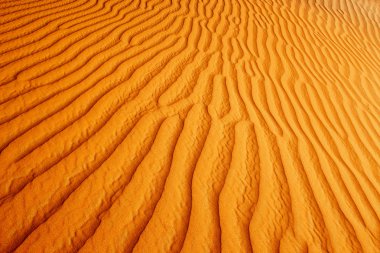 Arap çöl kumulları haddeleme