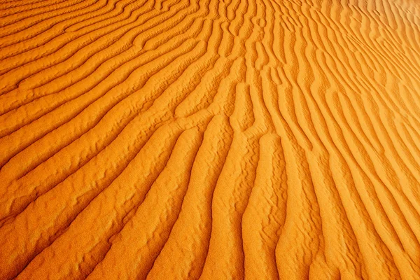Rolling sand dunes of the Arabian desert Royalty Free Stock Photos
