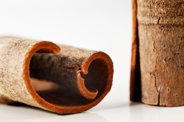 Beyaz bir arka plan karşı bütün tarçın sopa