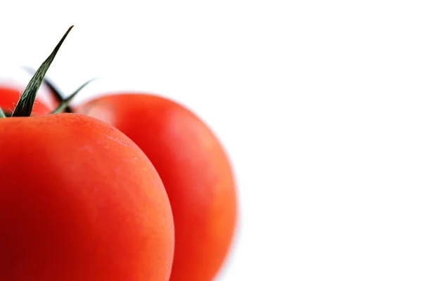 Biologische wijnbouw tomaten — Stockfoto