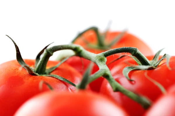 Biologische wijnbouw tomaten — Stockfoto