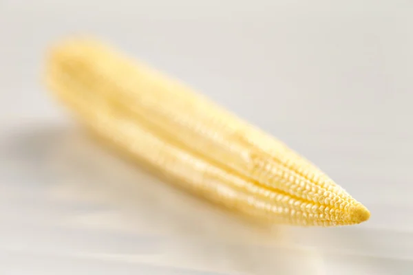 A macro shot of mini sweet corn — Stock Photo, Image