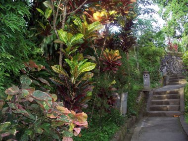 Bahçede yürüyüş yolu