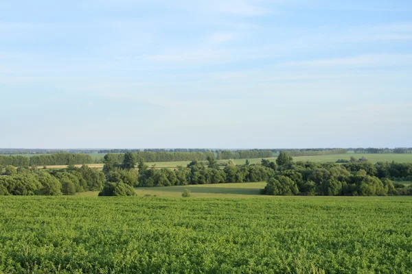 Paesaggio — Foto Stock