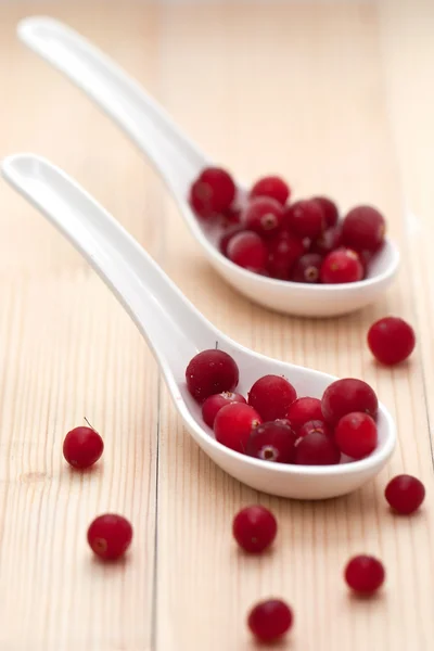 Cranberries in a white spoon on a wooden background — Stock Photo, Image
