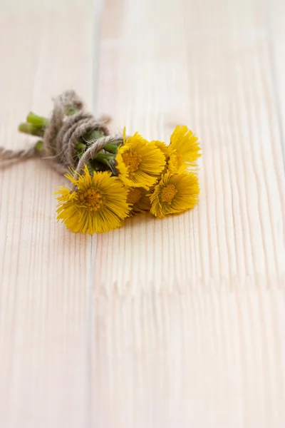 Yellow flowers on a wooden background — Stock Photo, Image