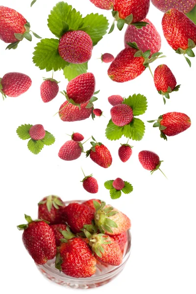 Healthy bowl with flying fresh strawberries, isolated on white background — Stock Photo, Image