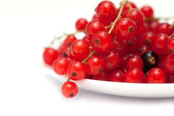 Fresh organic berries isolated over white — Stock Photo, Image