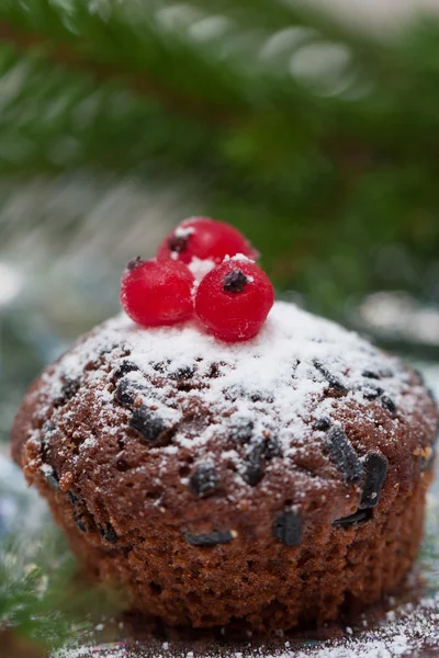 クリスマス チョコレート ケーキ — ストック写真
