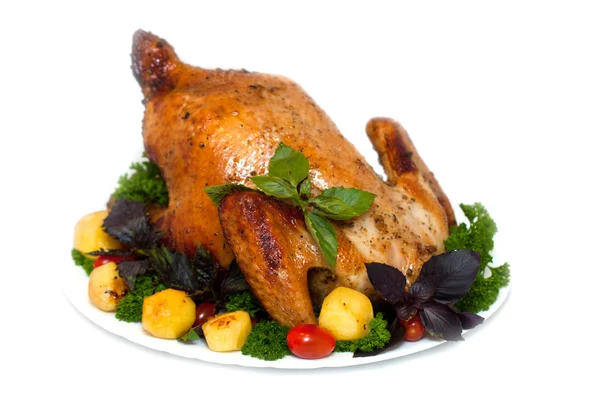 Whole roasted chicken with potatoes and herbs on white background Stock Image