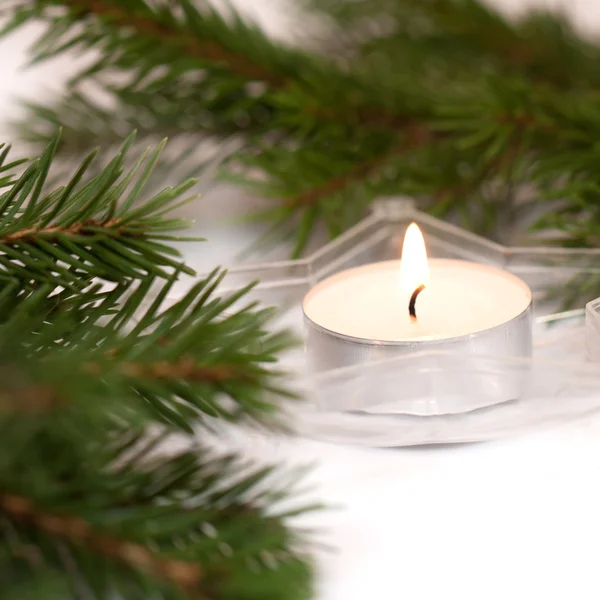 Рождественская композиция со свечами и елками — стоковое фото