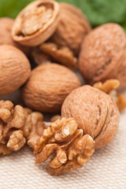 bahçede yeşil yaprakları ile ceviz