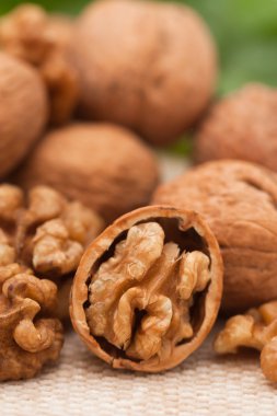 bahçede yeşil yaprakları ile ceviz