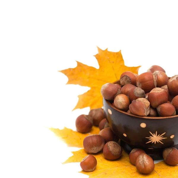Nuts in a wooden bowl with yellow maple leaves on a white background — Stock Photo, Image