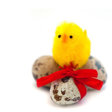 Paskalya Natürmort: Bıldırcın yumurta tavuk beyaz zemin üzerine