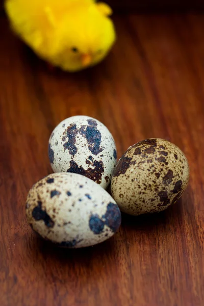 Easter still life quail egg with a chicken on a wooden background — Stock Photo, Image