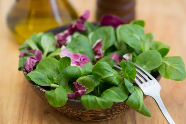 Wooden bowl with corn salad leaves and radicchio — Stock Photo, Image