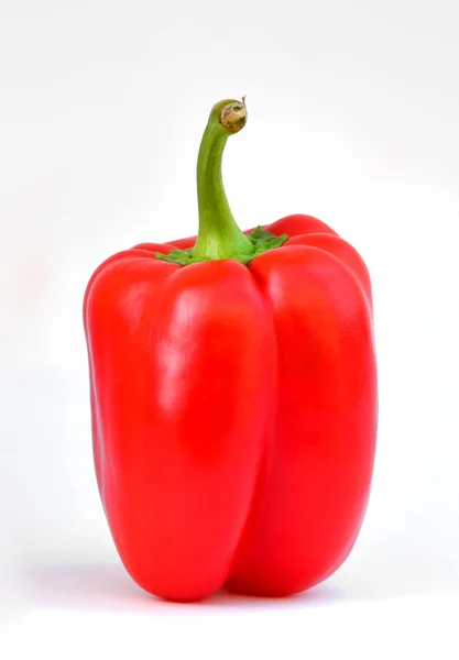 Rode paprika — Stockfoto