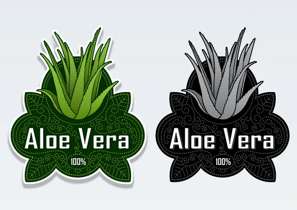 Aloe Vera Seal / Sticker — Stock Vector