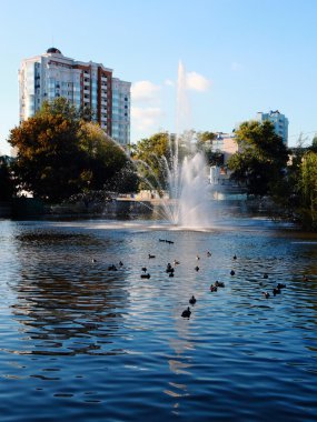 Şehir Manzarası.