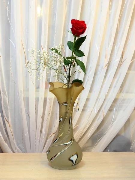 Een eenzame roos in een vaas. — Stockfoto