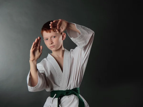 Fiatal karate ember. Jogdíjmentes Stock Fotók