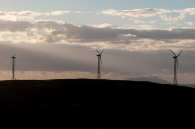 bir tepe üzerinde yel değirmenleri