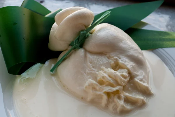 İtalyan mozzarella burrata apulia dan