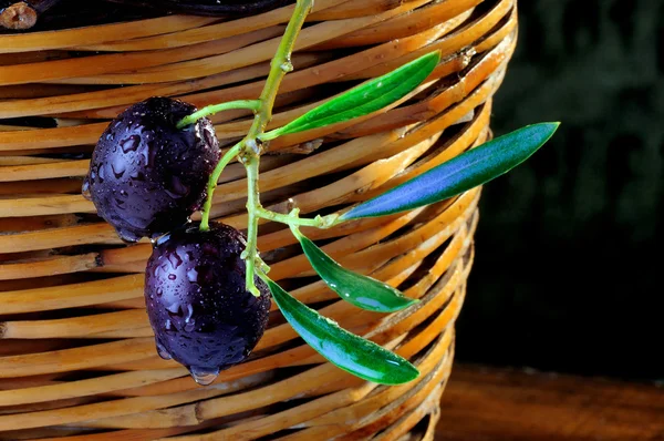 Two black olives — Stock Photo, Image