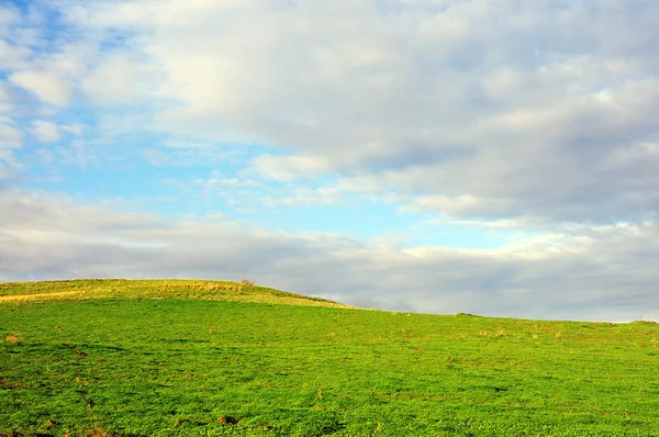 Paesaggio autunnale di una collina — Foto Stock