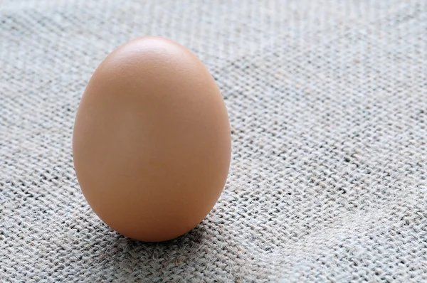 Fresh egg — Stock Photo, Image