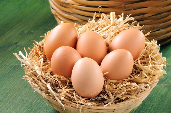 Basket of fresh eggs — Stock Photo, Image