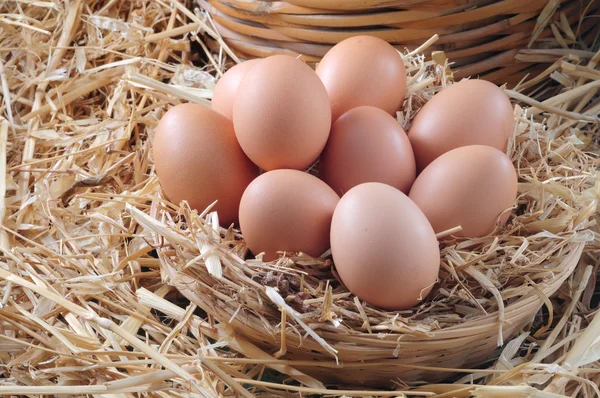 Ovos em uma cesta de palha — Fotografia de Stock