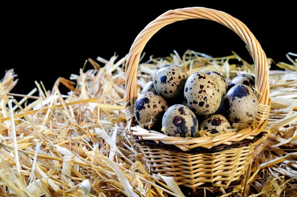 Pequeña cesta de huevos de codorniz — Foto de Stock