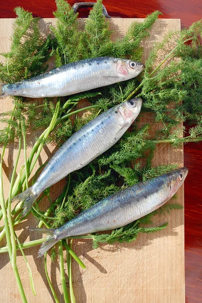 Tři sardinky — Stock fotografie