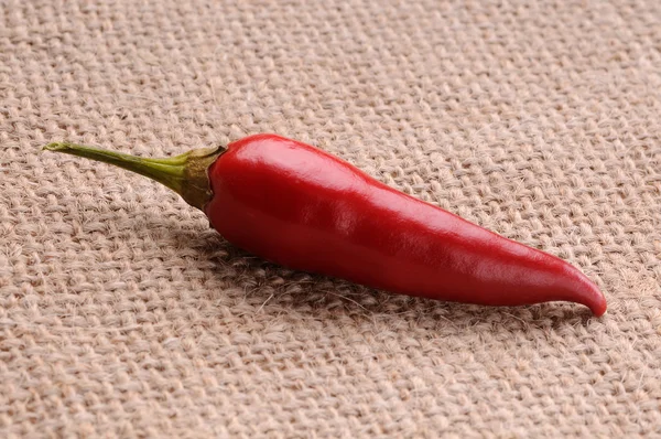 Červenou papriku na utěrku — Stock fotografie