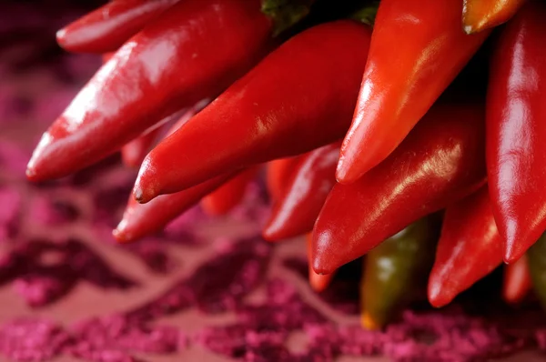 Kilka bardzo Pikantne papryczki chilli — Zdjęcie stockowe