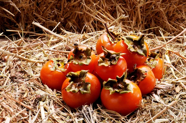 Persimmon fruits on the straw — Stock Photo, Image