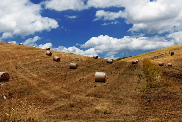 Landscape with bales of straw — Stock Photo, Image