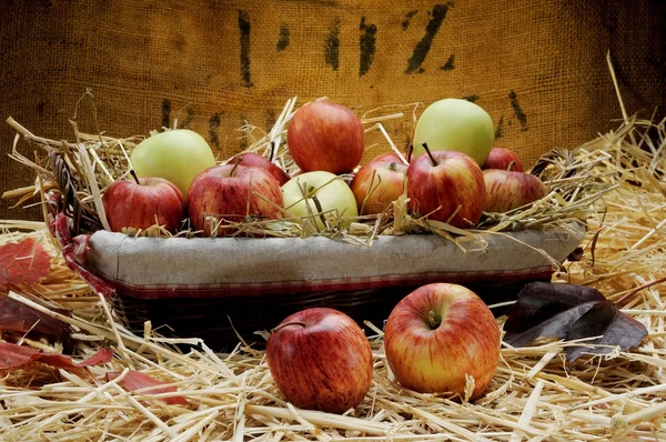 Cesta de maçãs deliciosas na palha — Fotografia de Stock