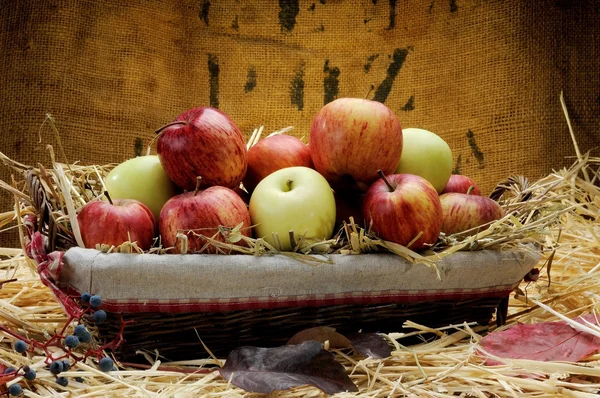 Korb mit Äpfeln auf Stroh — Stockfoto