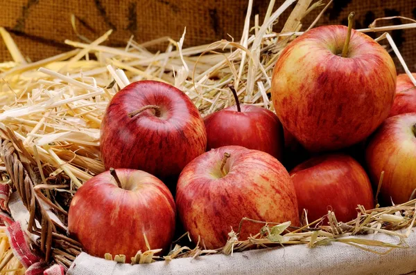 Korg med läckra röda äpplen — Stockfoto