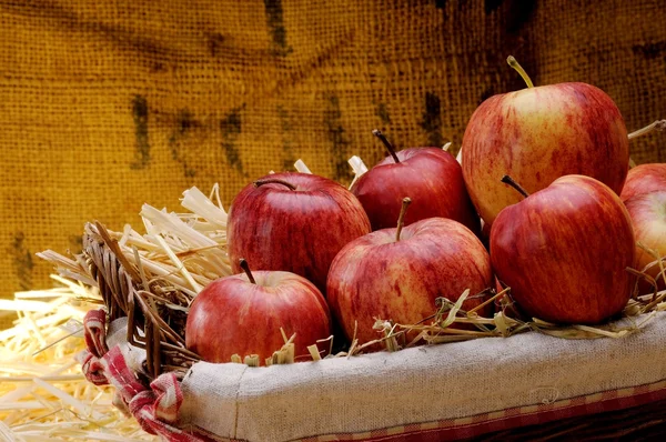 Köstliche rote Äpfel — Stockfoto