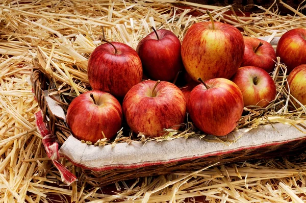 Köstliche rote Äpfel auf Stroh — Stockfoto