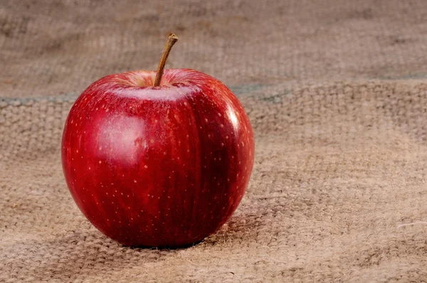Äpfel auf Leinwand — Stockfoto