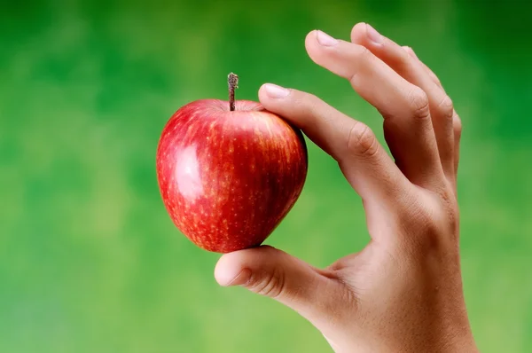 Pequeña manzana — Foto de Stock